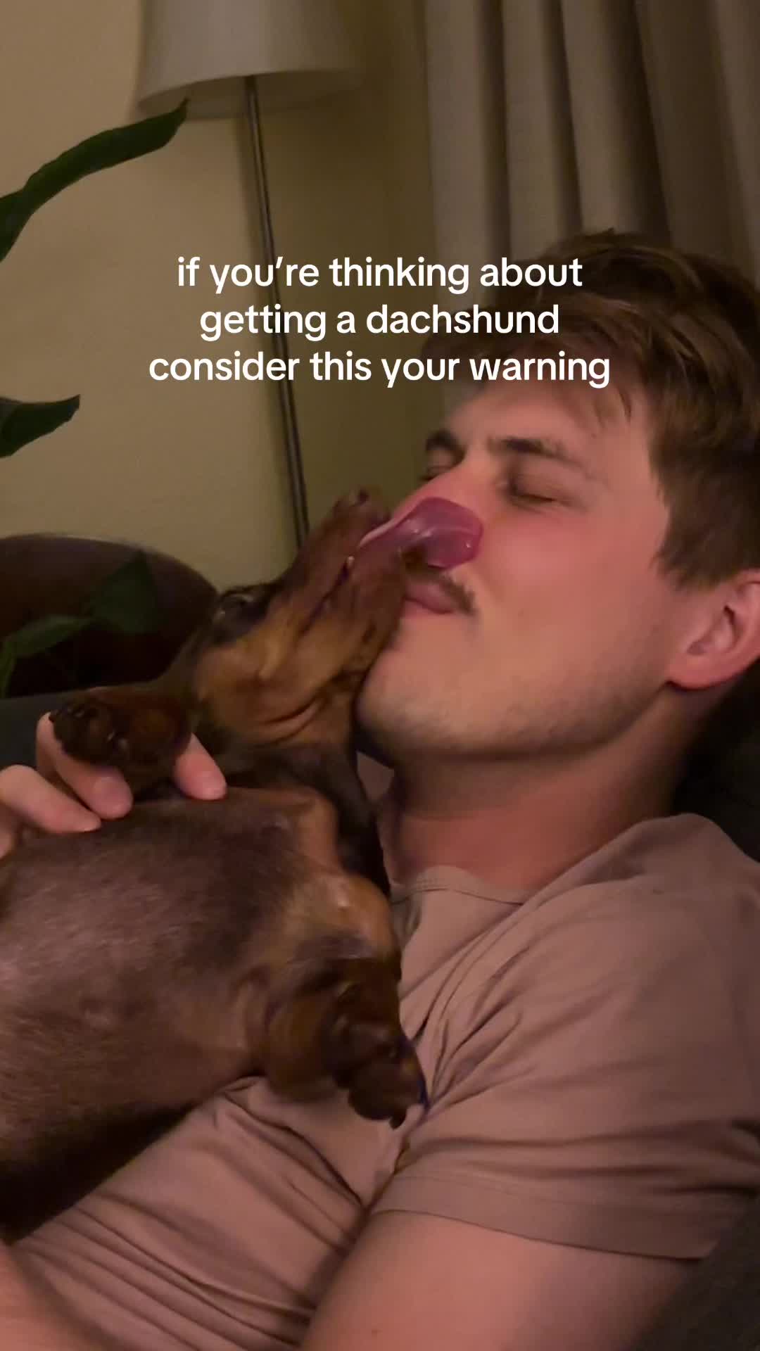 @rhubarb the doggo