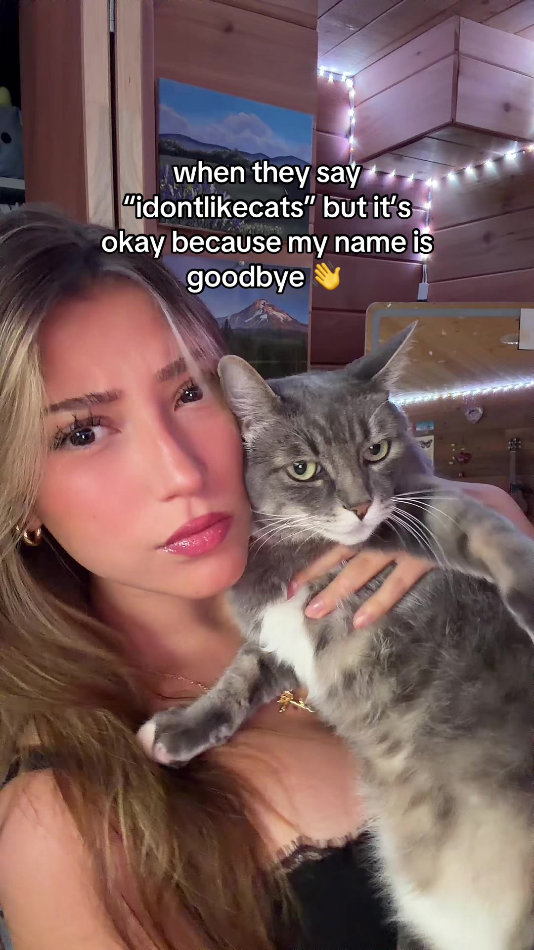 @haileyduquette