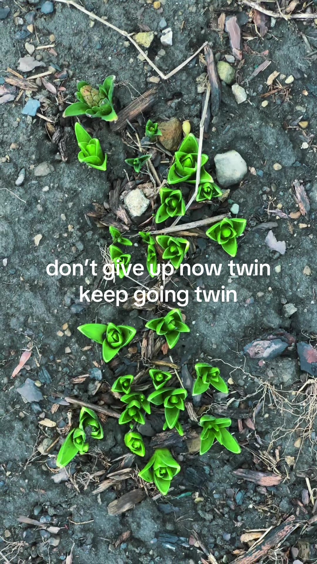 @ok 🥑