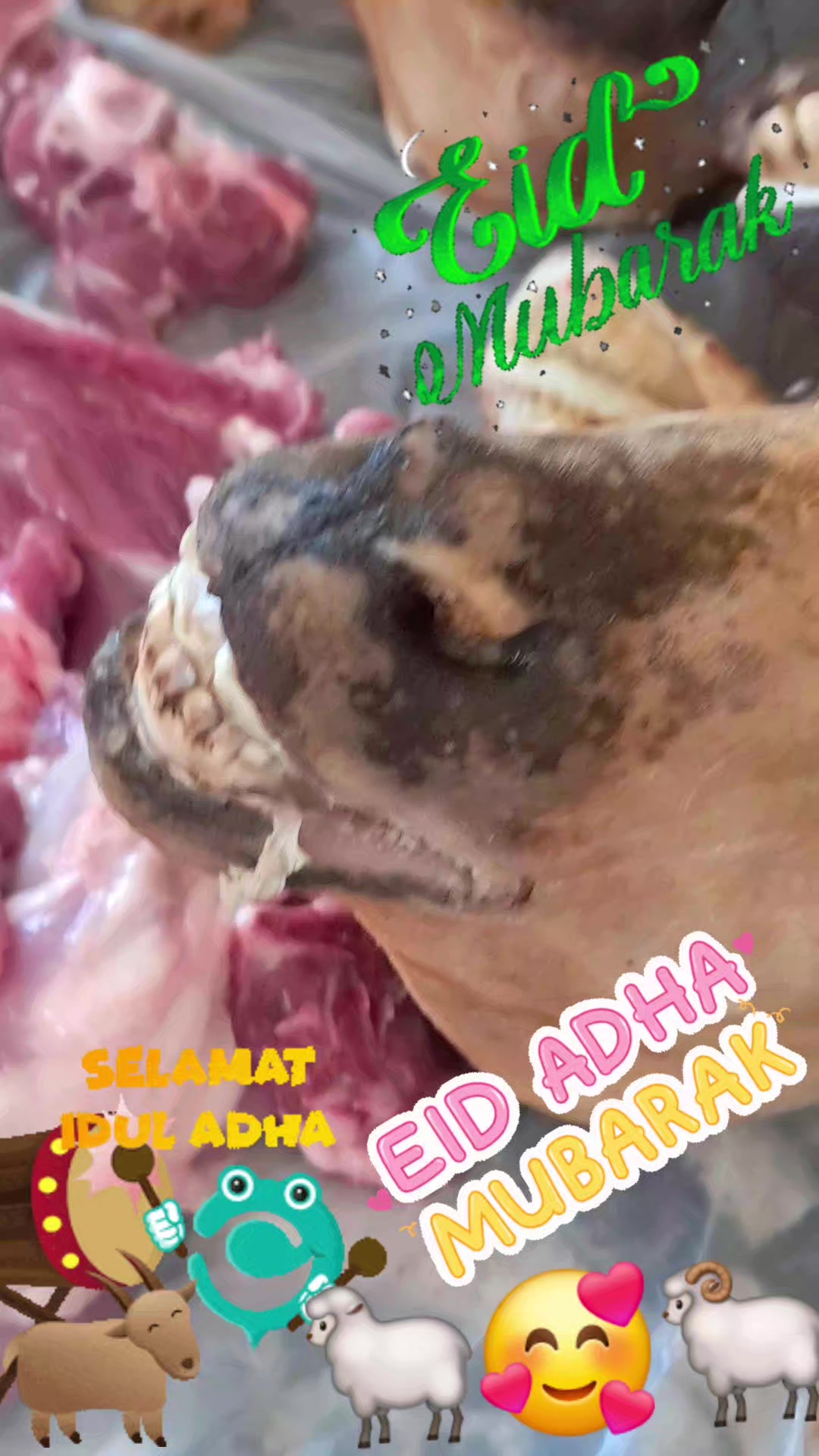 @SALAM ANAK RANTAU 🇸🇦♥️🇲🇨