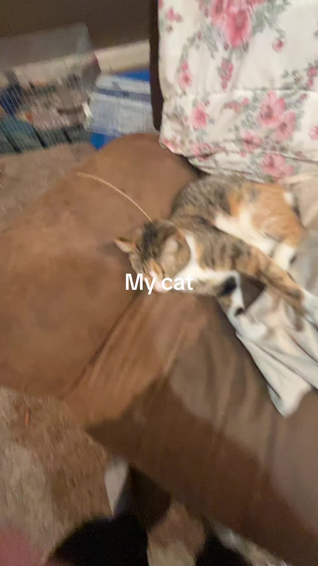 @Juice_wrld999
