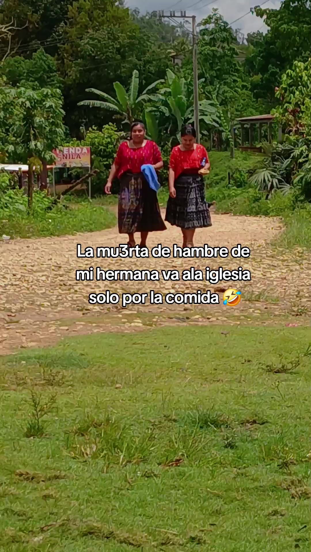 @Josh Jr🐢