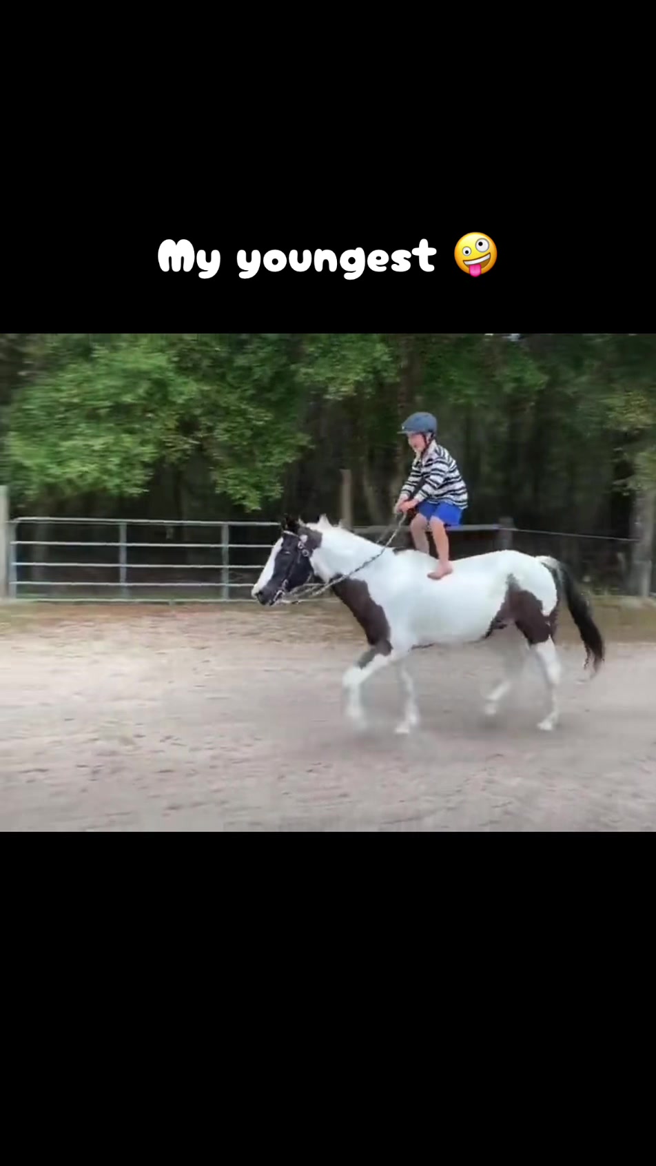 @jesswithallheranimals