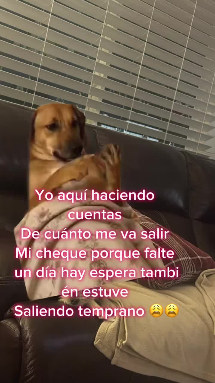 @Johnny Munoz
