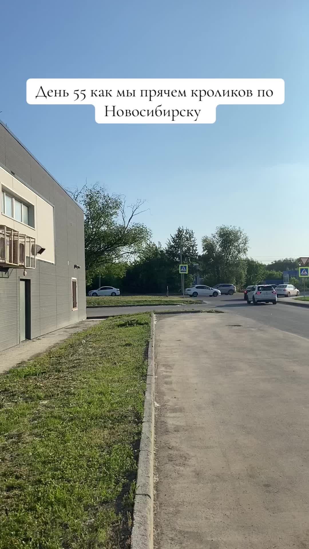 @Кролики