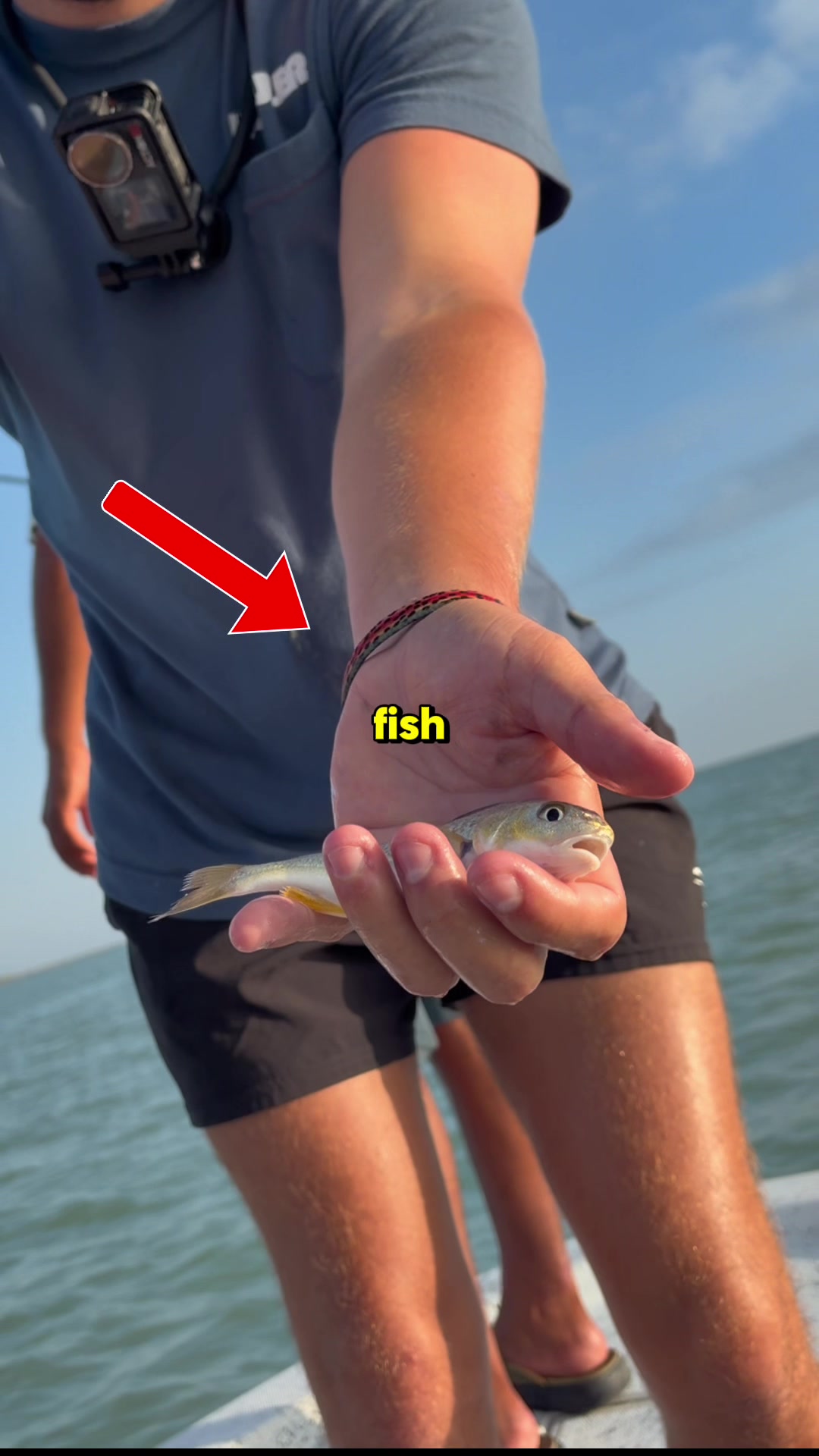 @trk.fishing