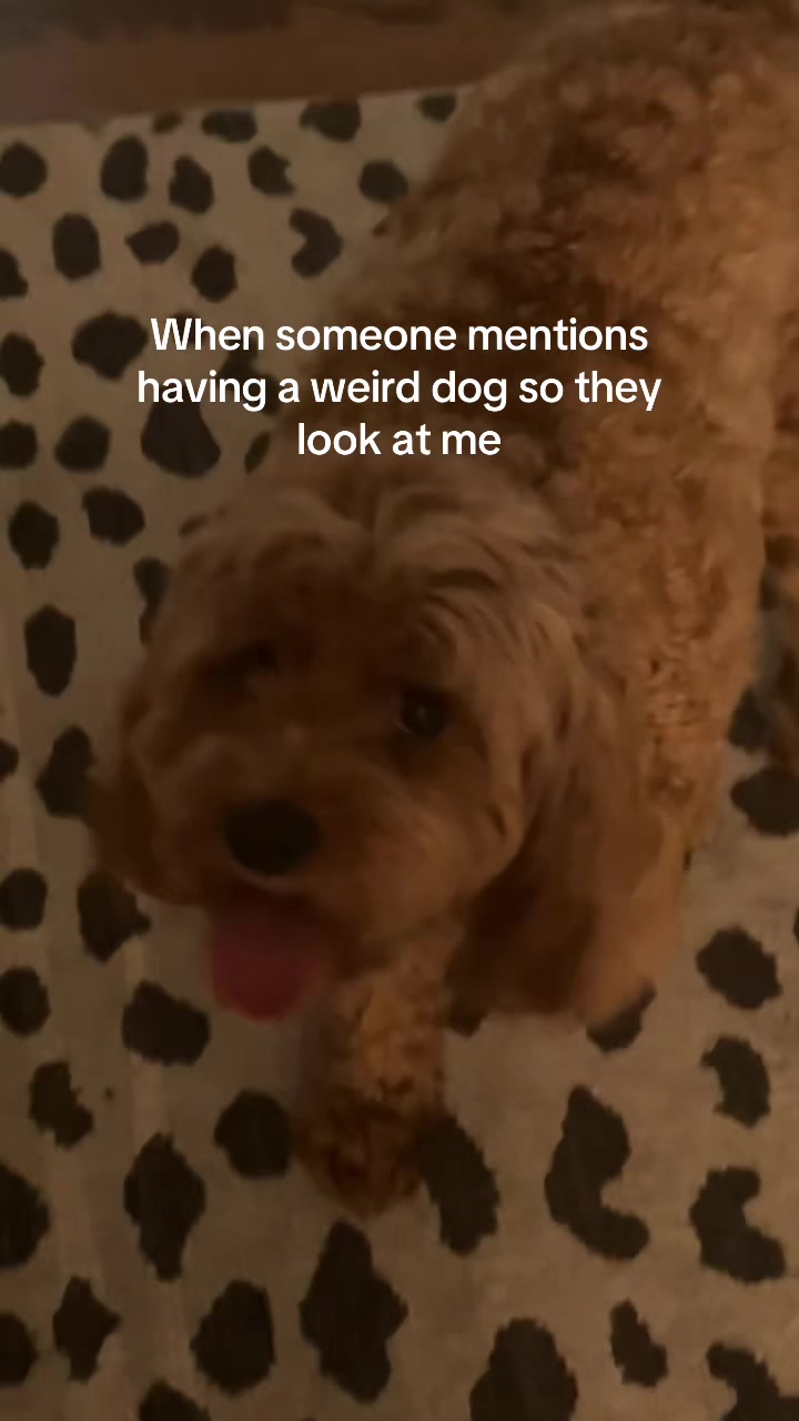 @unicornbubbles