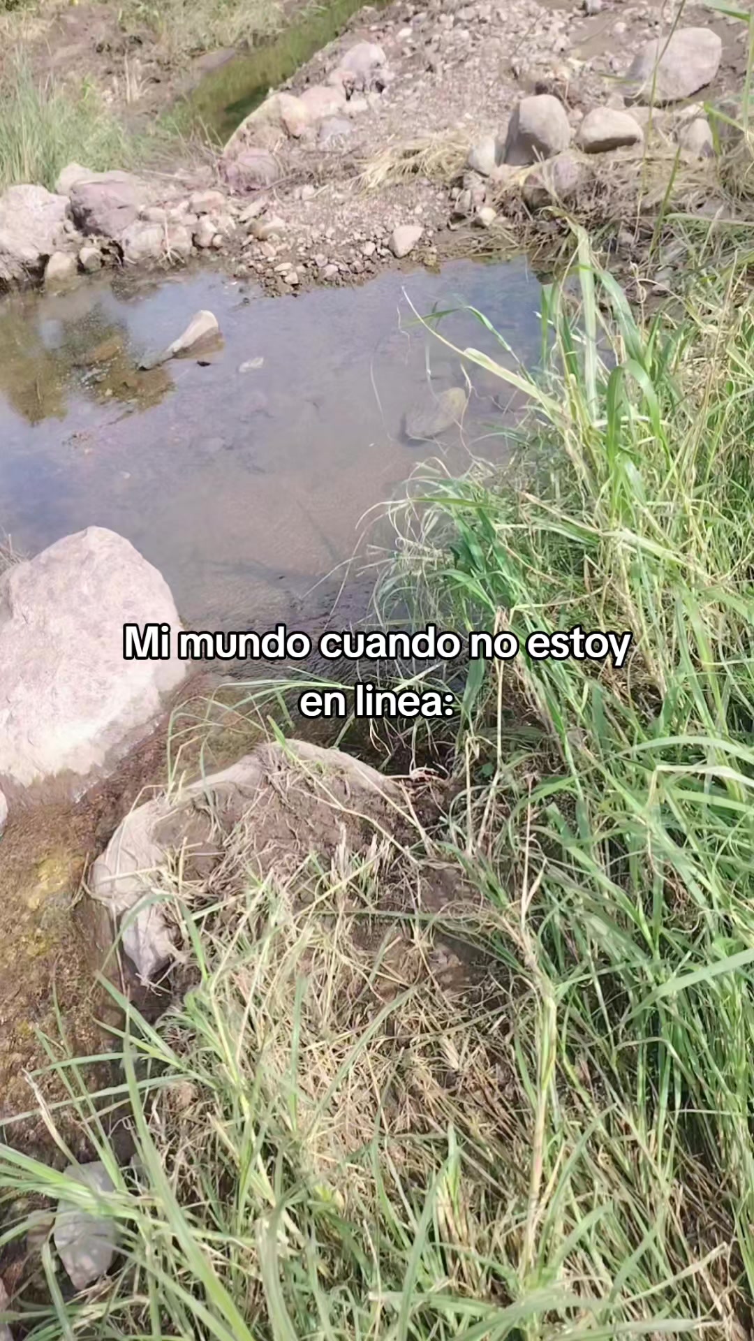@samby