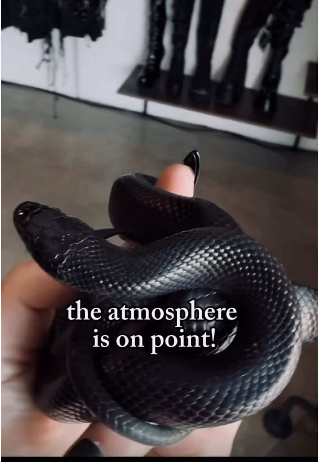 @Eclipsed Emporium