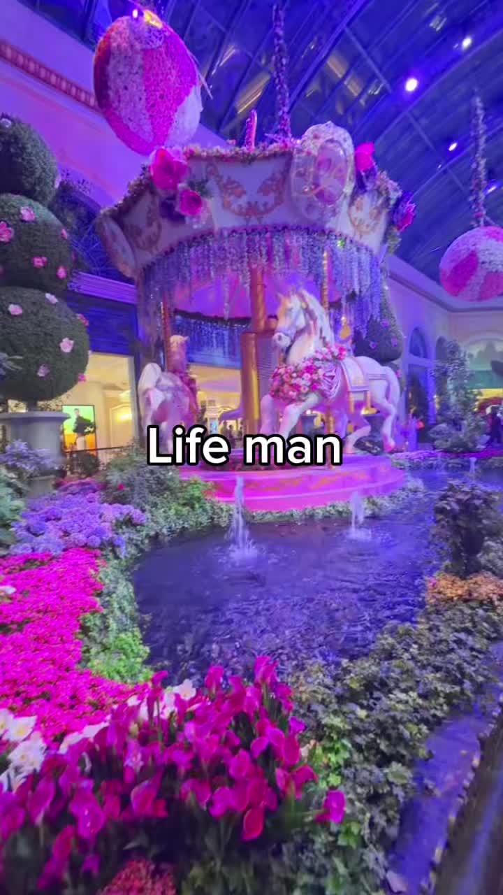 @donsmokeyy