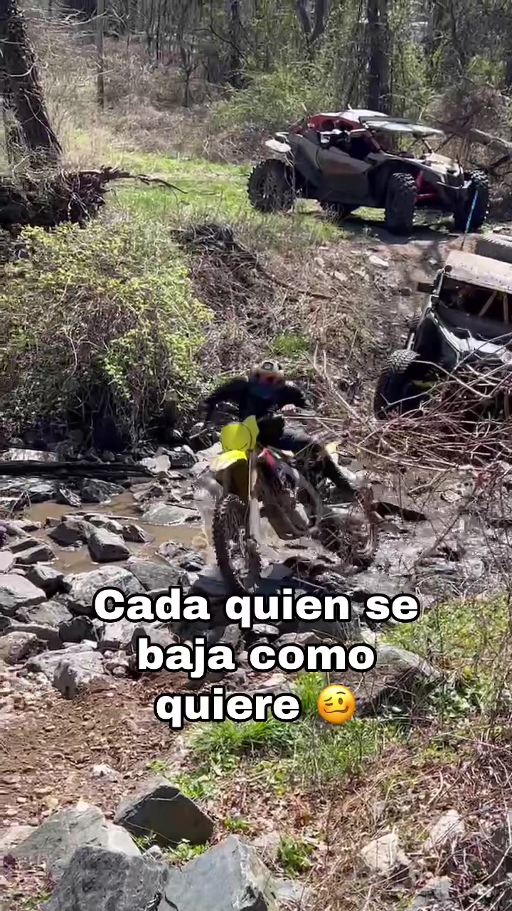 @M4pe 🦝