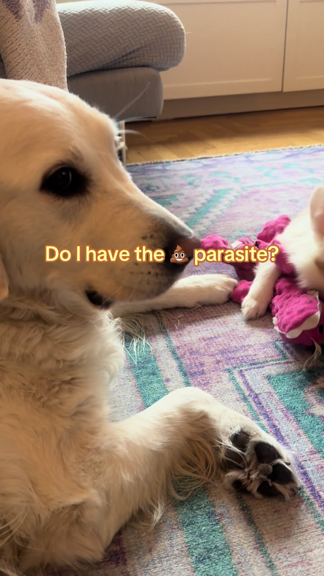 @Dr. Pria, PhD