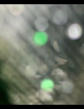 @๐๐ฎ๐ฒ๐๐ฎ๐ฒ ๐ปโจ๐ฝ