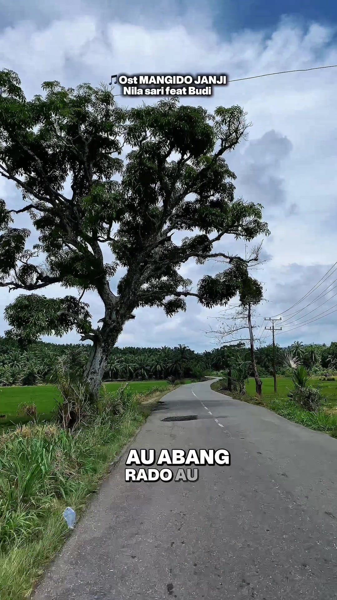 @Kumpulan Lagu Mandailing 🎵