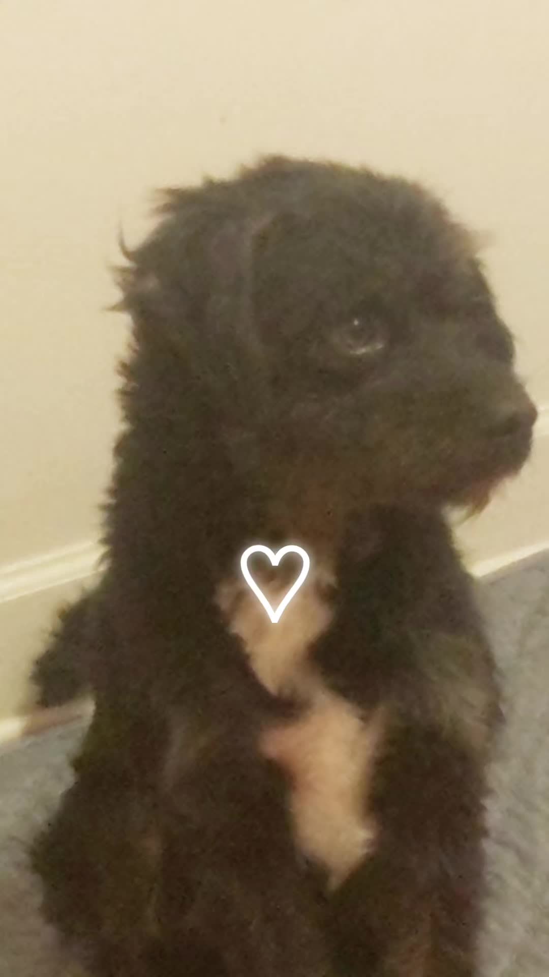 @♡☆sofia☆♡