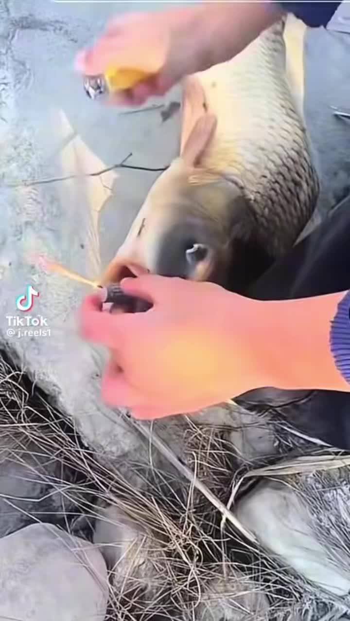 @strike_fishing_