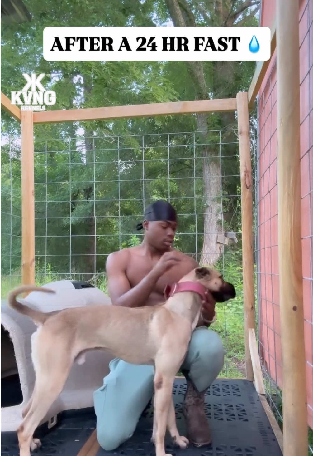 @KVNG KENNELS