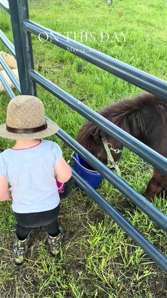 @TennesseeTedMiniFarm