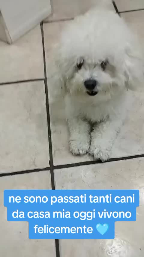 @Ciro Pelliccio