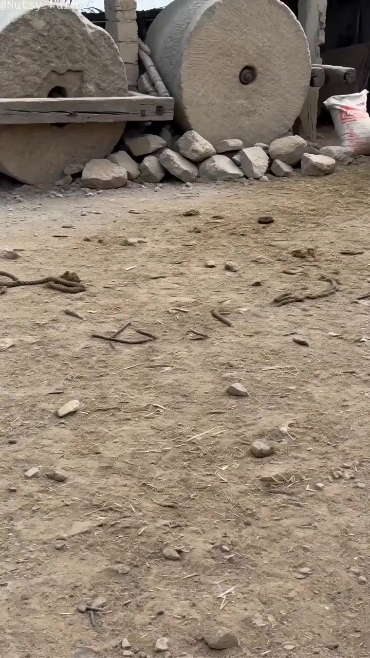 @NutsyFarm