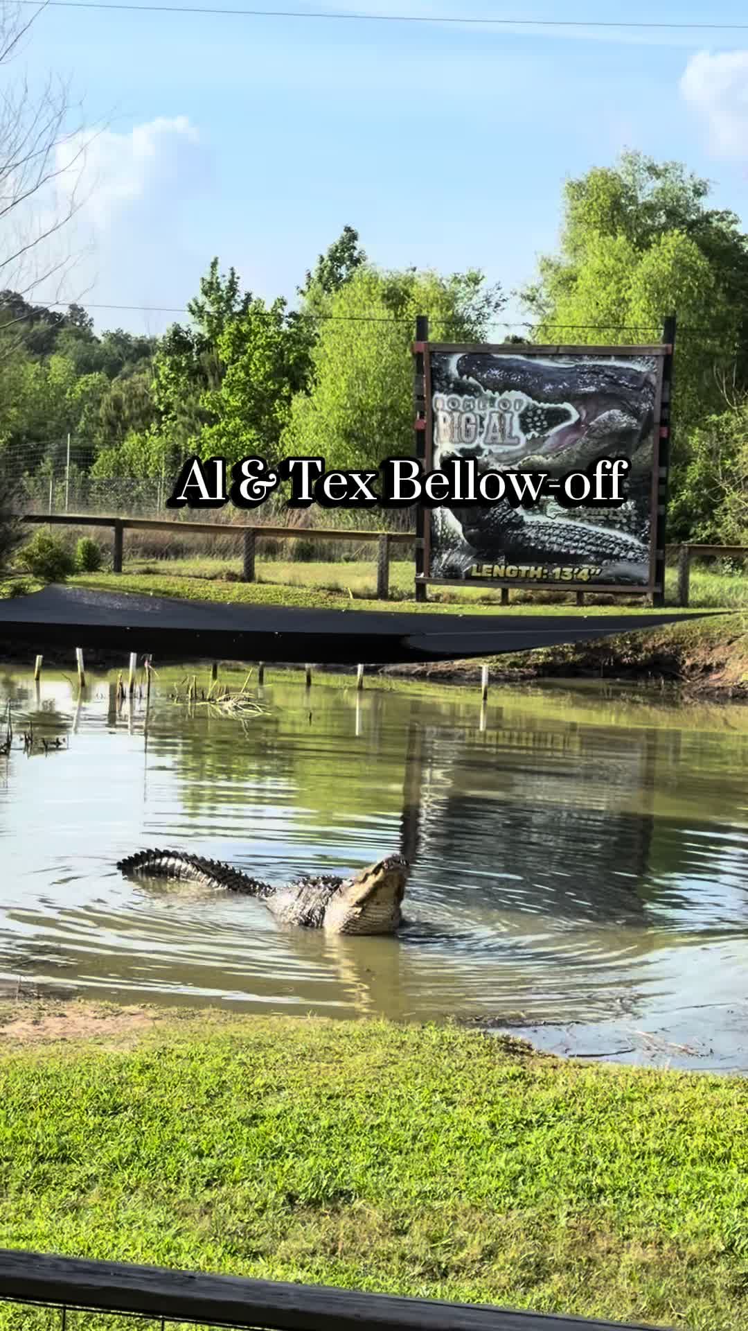 @Gator Country TX