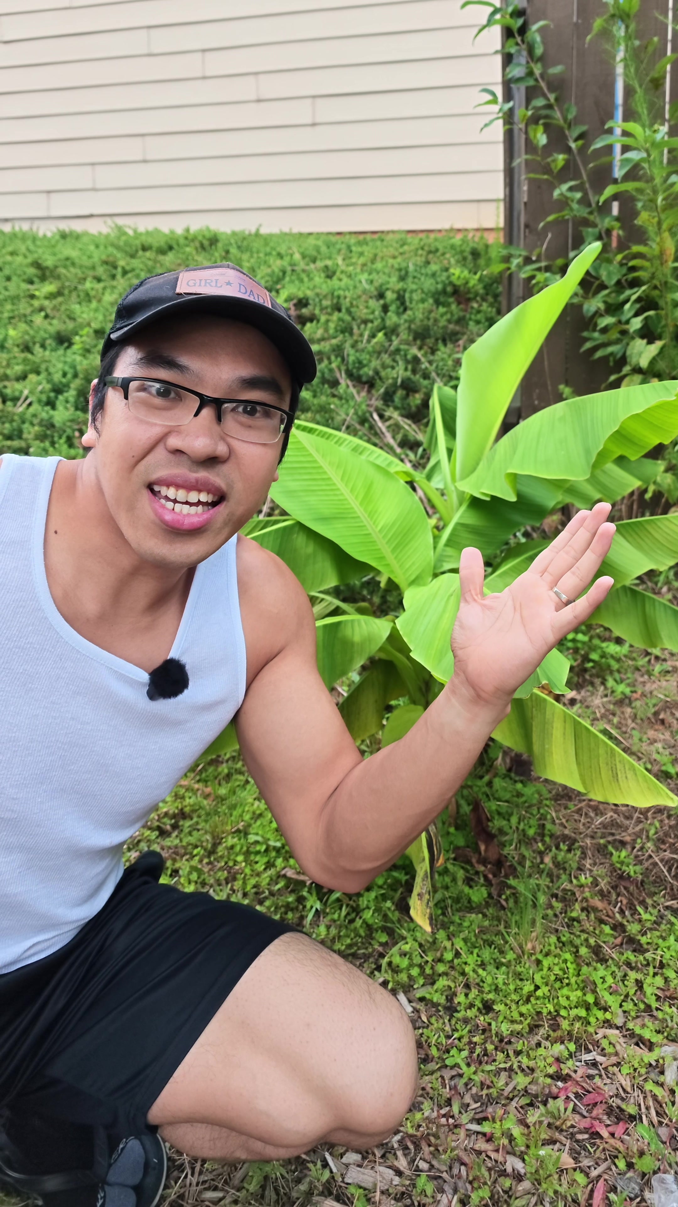 @Buff Gardener
