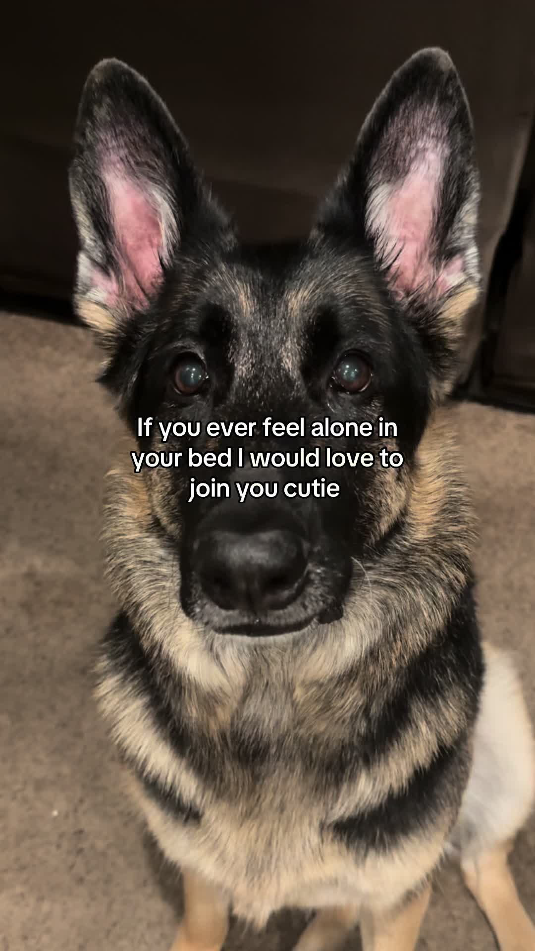 @Bhris