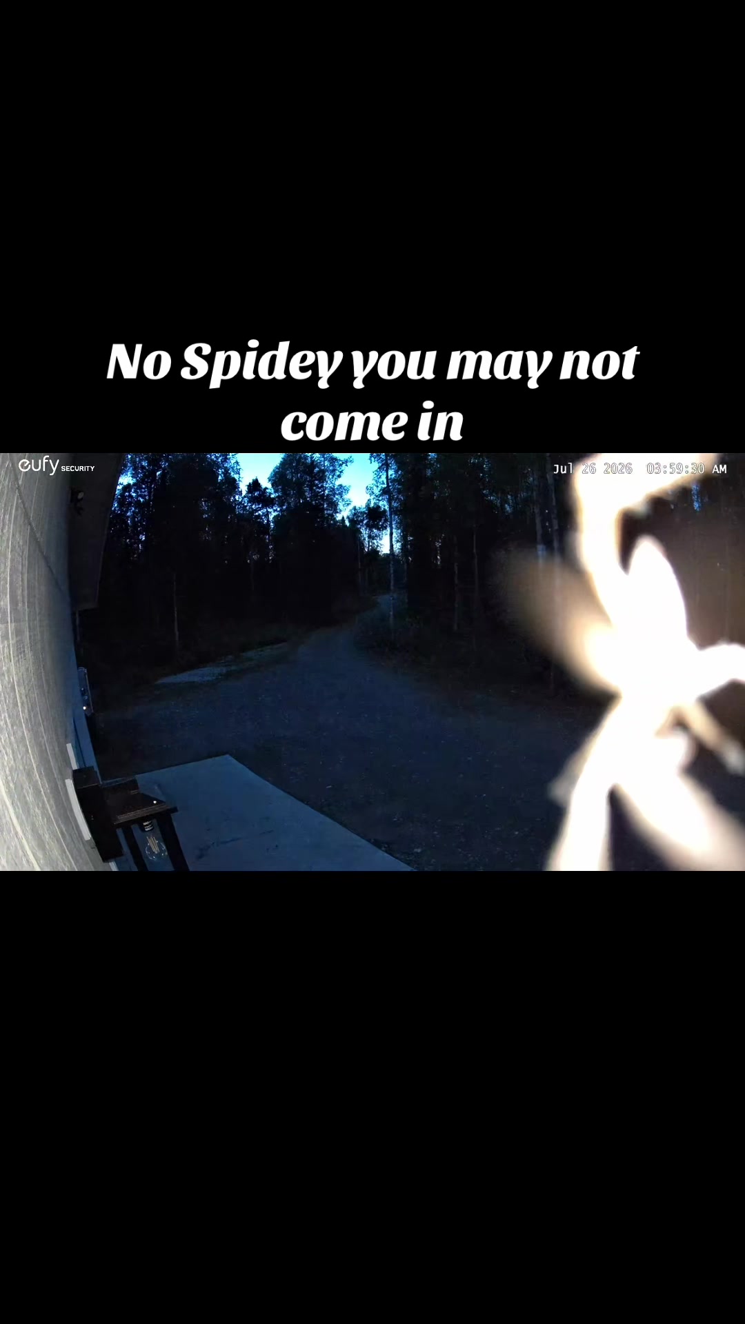 @AngieSmith