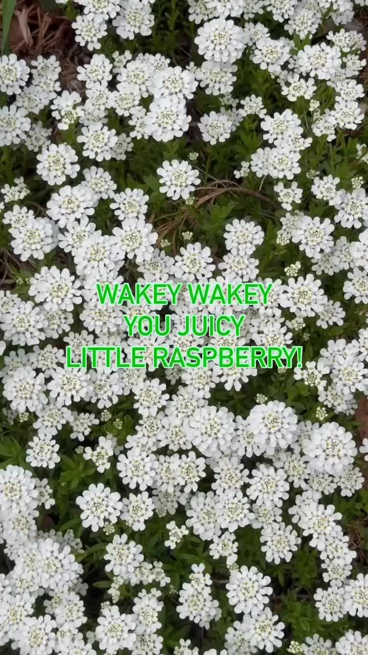 @11:11 Artistry LLC