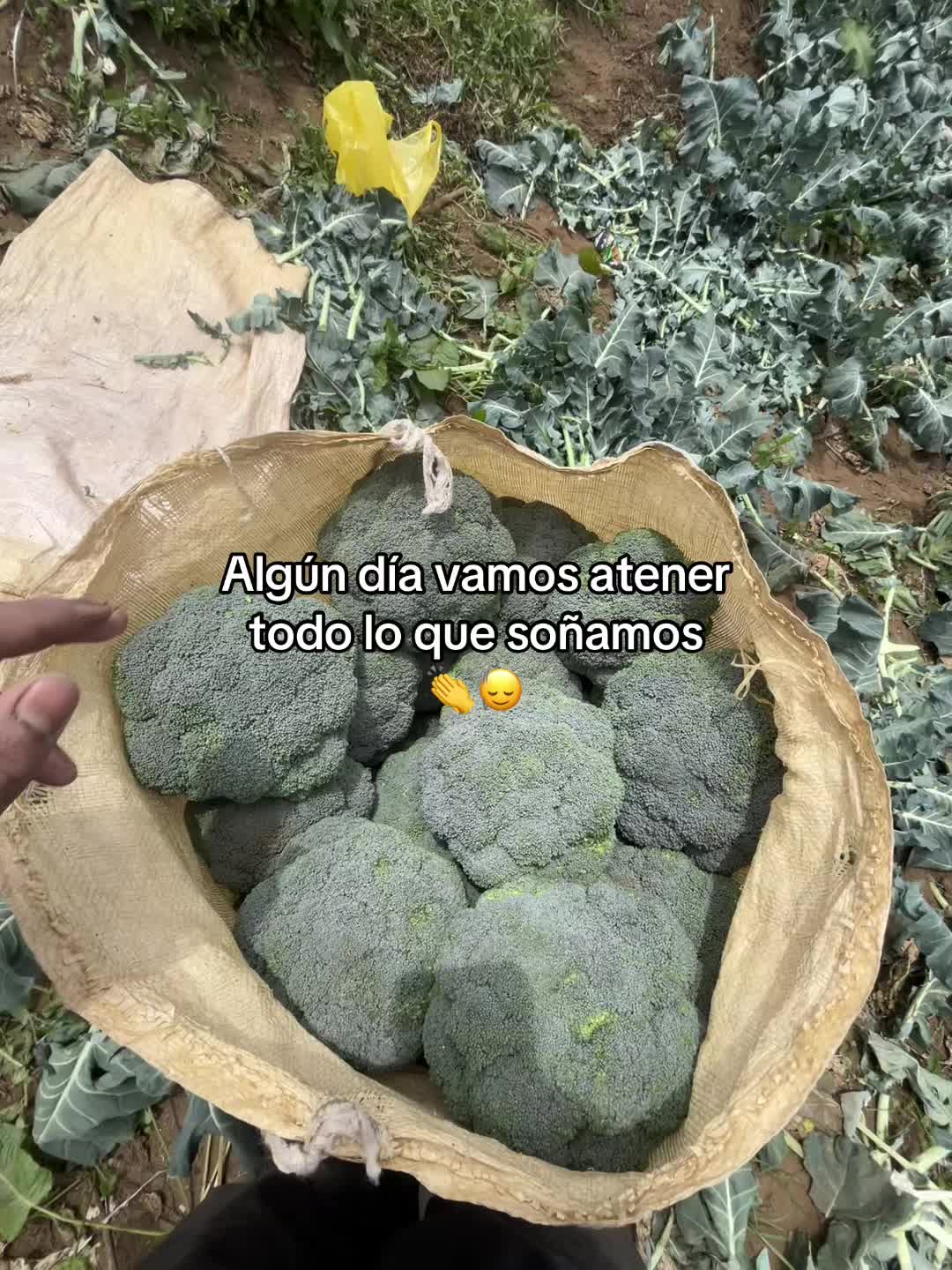@Henry 🫡🤠