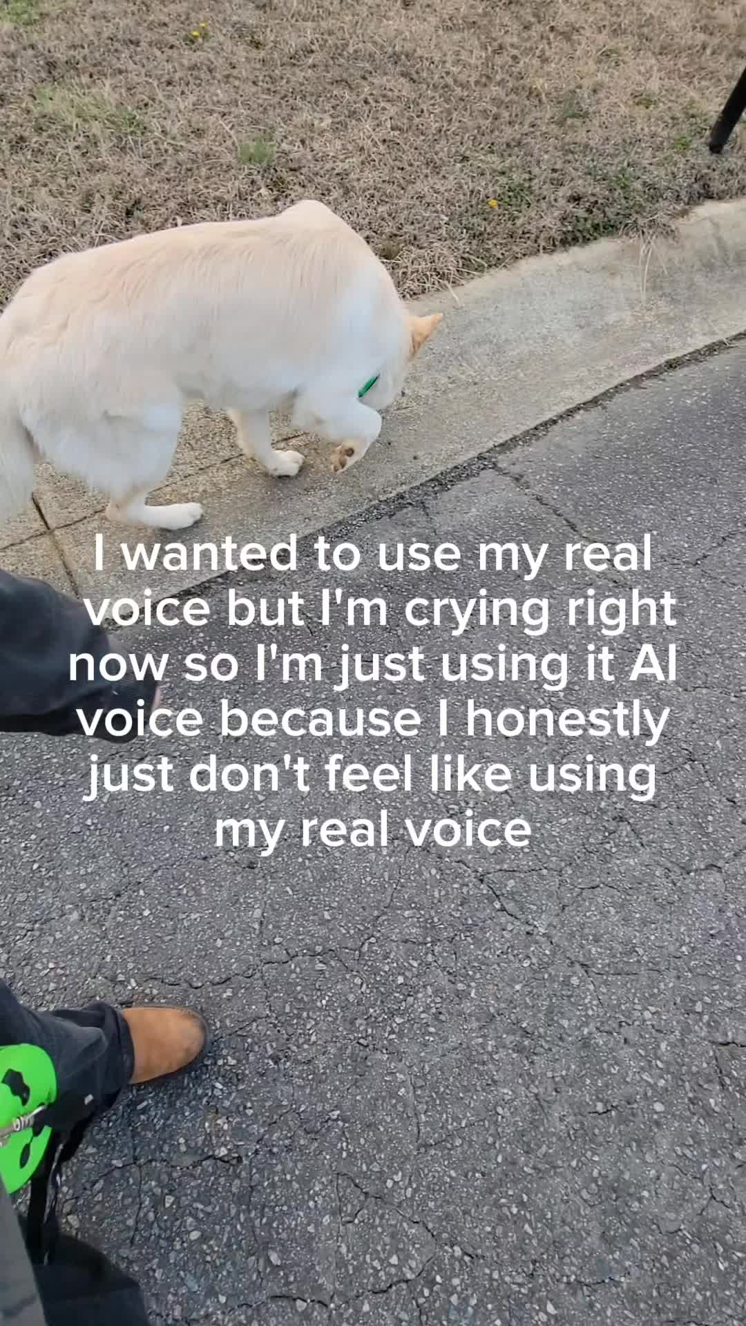 @Leo, Blitz & Dakota