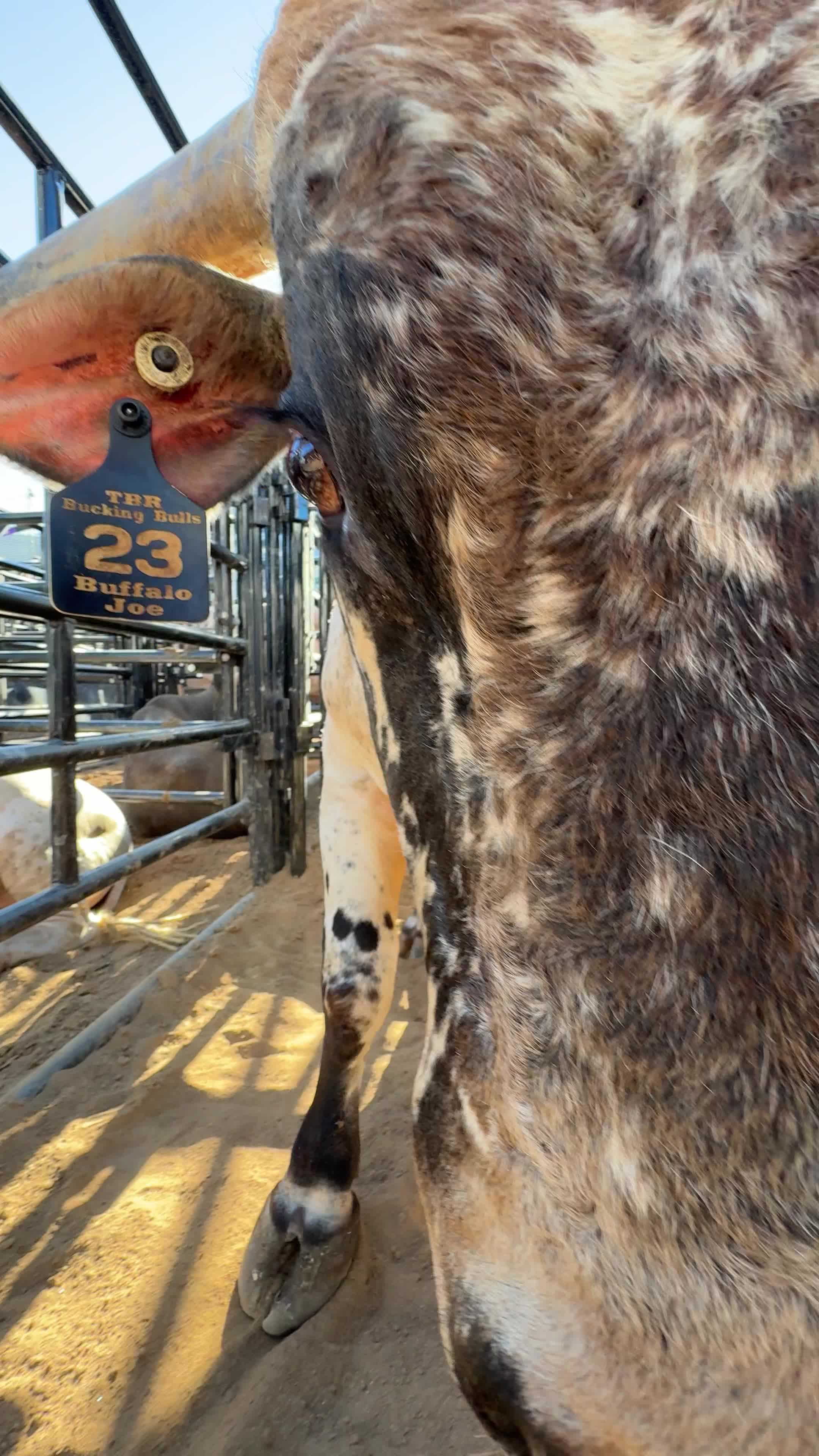 @PBR