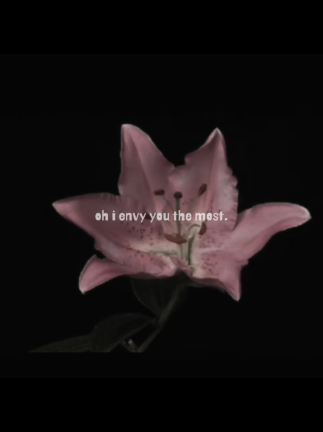 @twix 🦑🐇