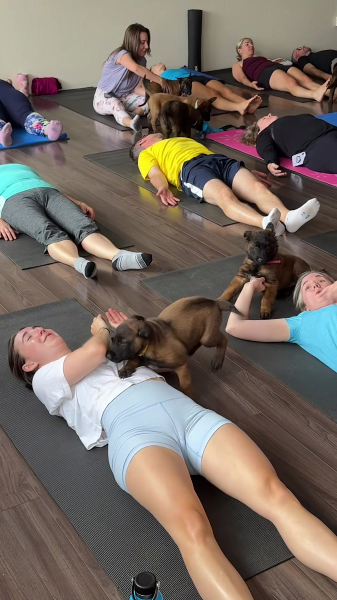 @Muskoka Puppy Yoga