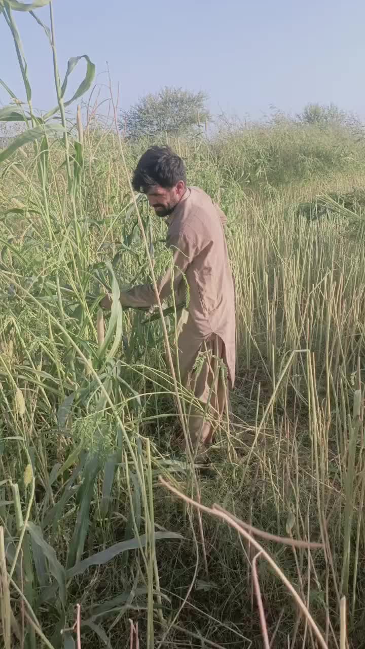 @JUNAID$IDHU