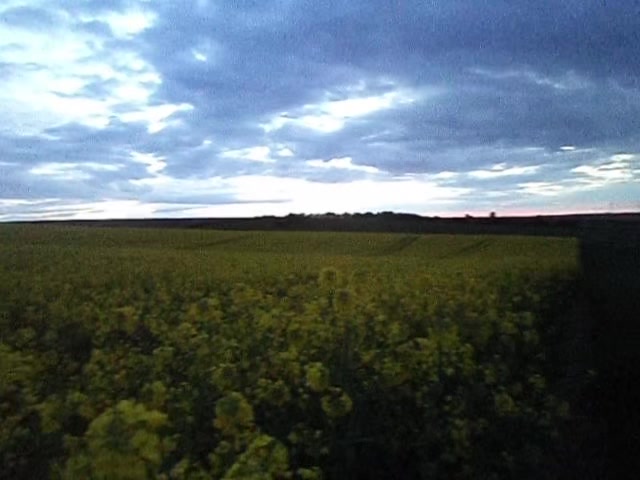 @ֶָ֢