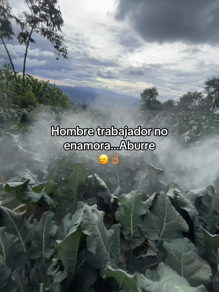 @Henry 🫡🤠