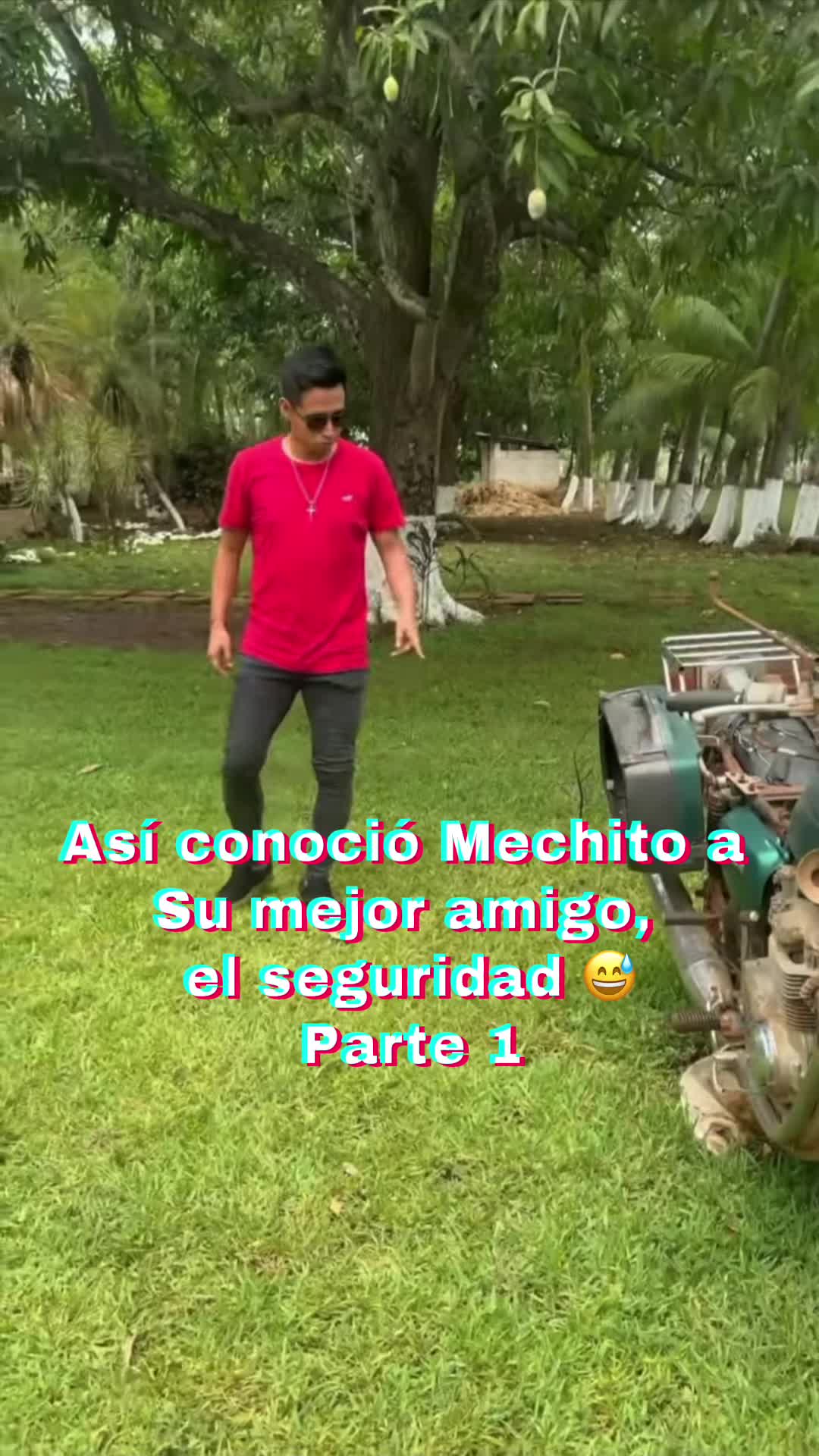 @BICHO