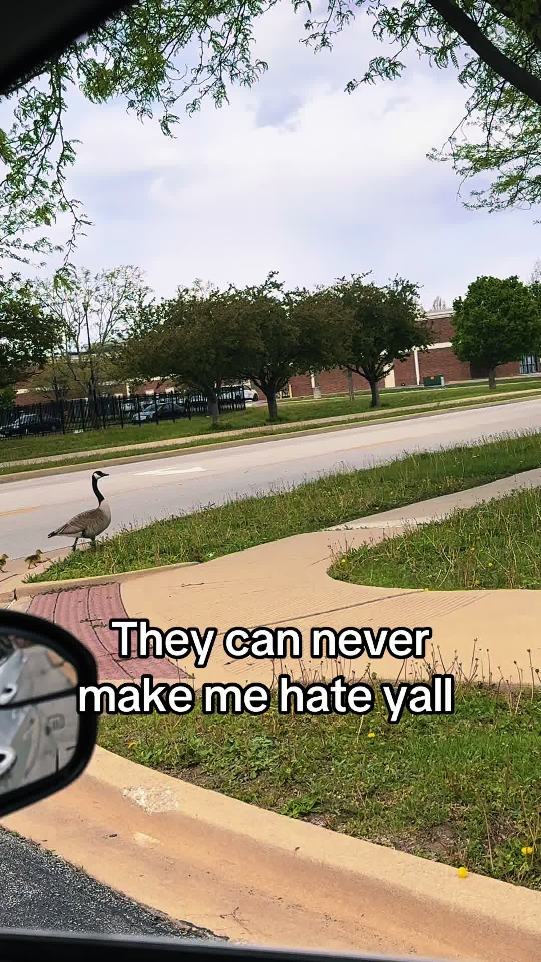 @Sandra