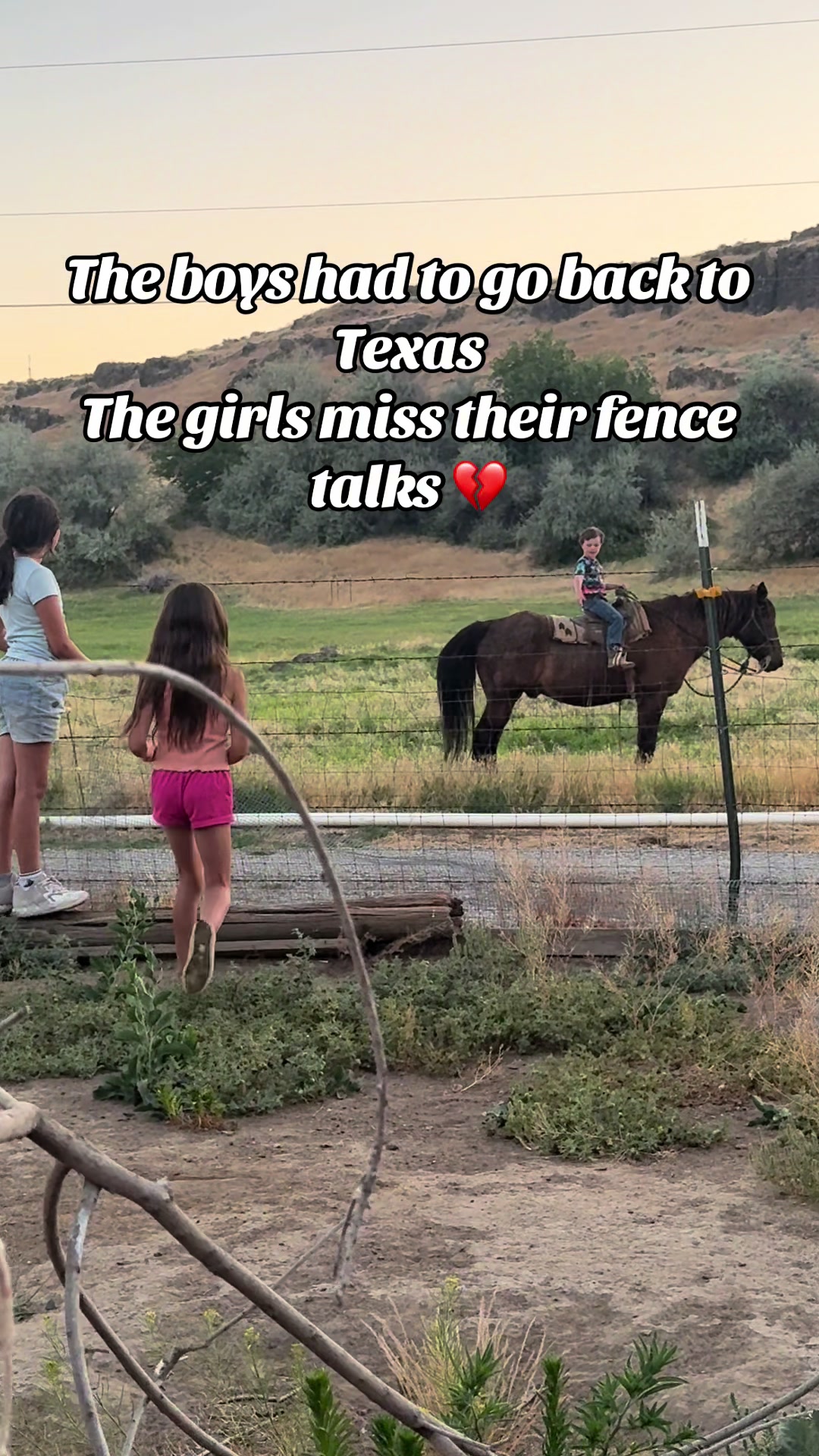 @Hot Sauce the Mini horse 🐎