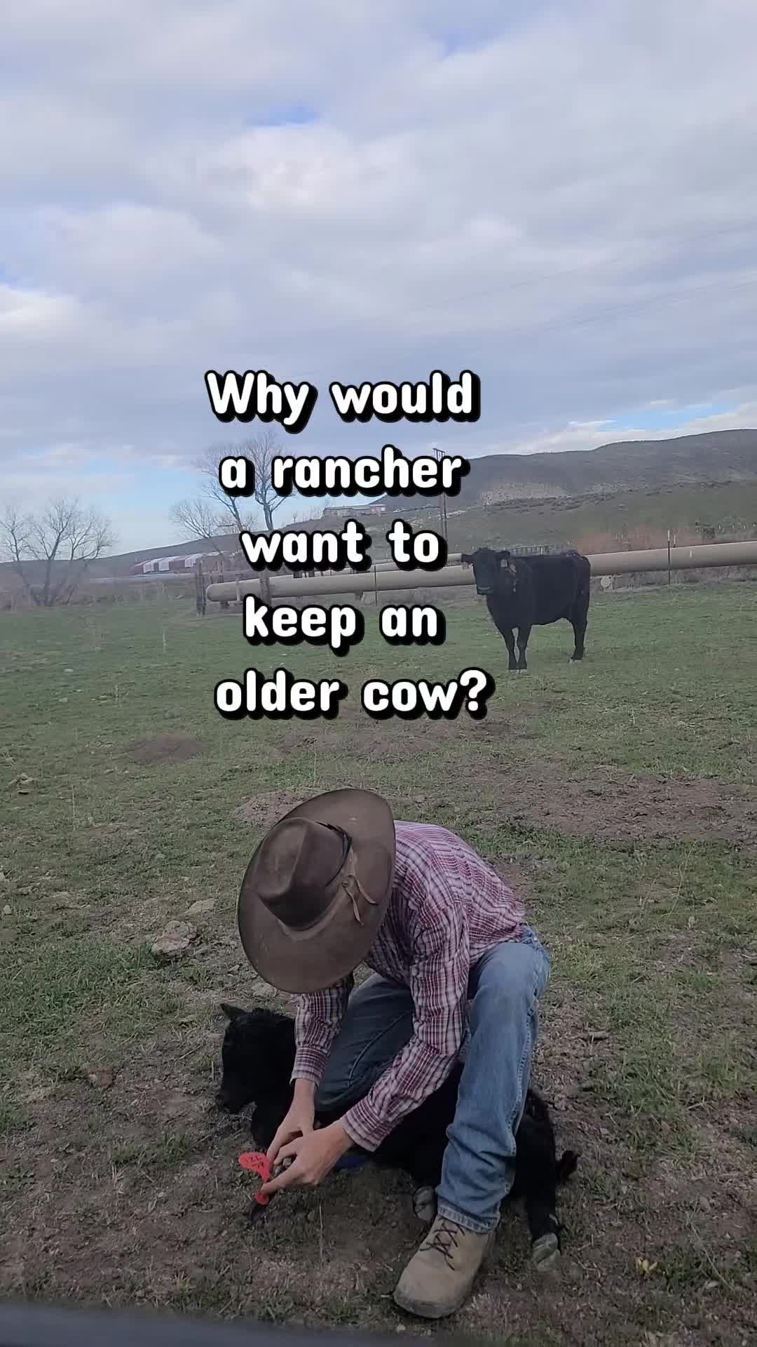 @ARanchersWife