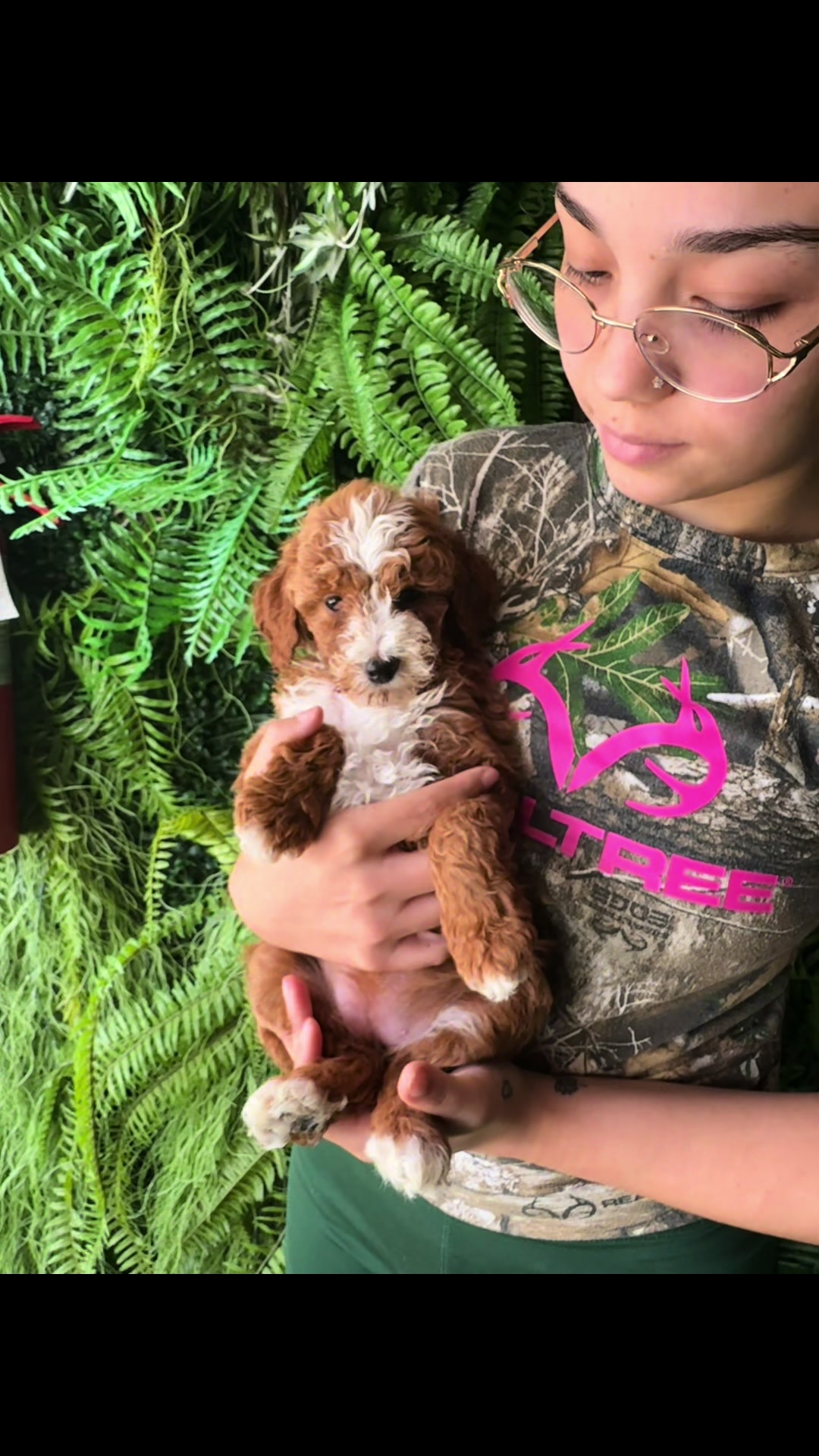 @FurbabyPuppies