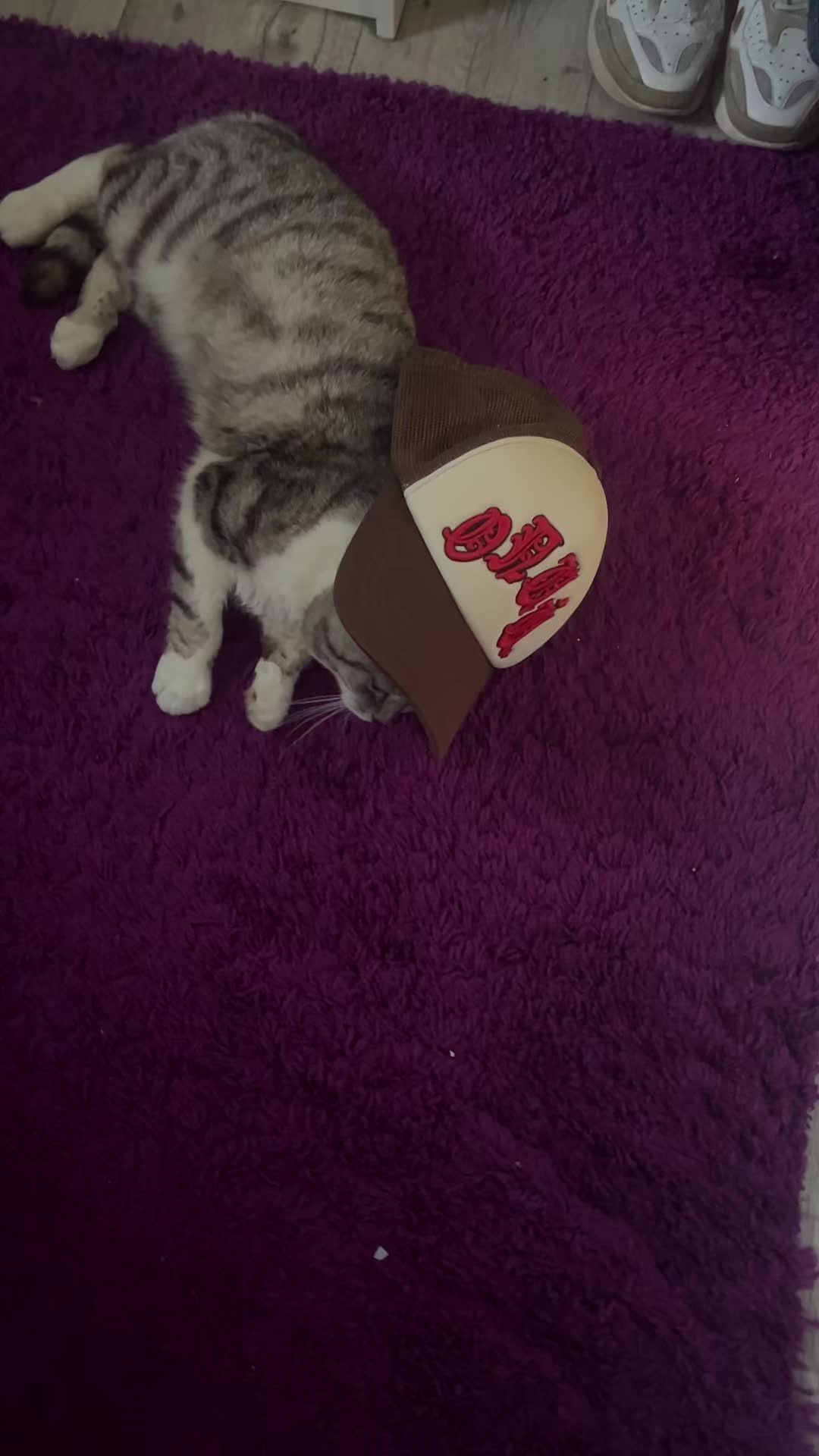 @Чувак плаг
