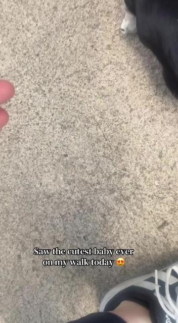 @steviebelfiore