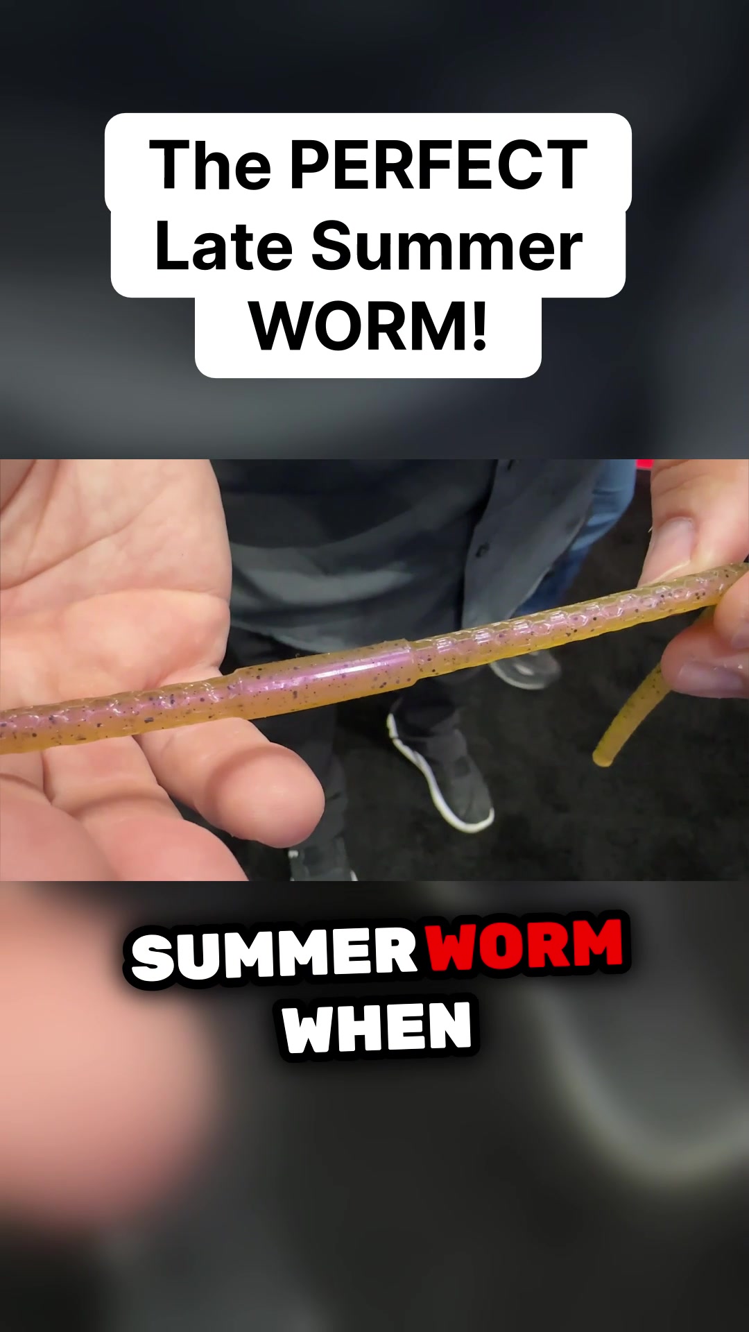 @bassgeek