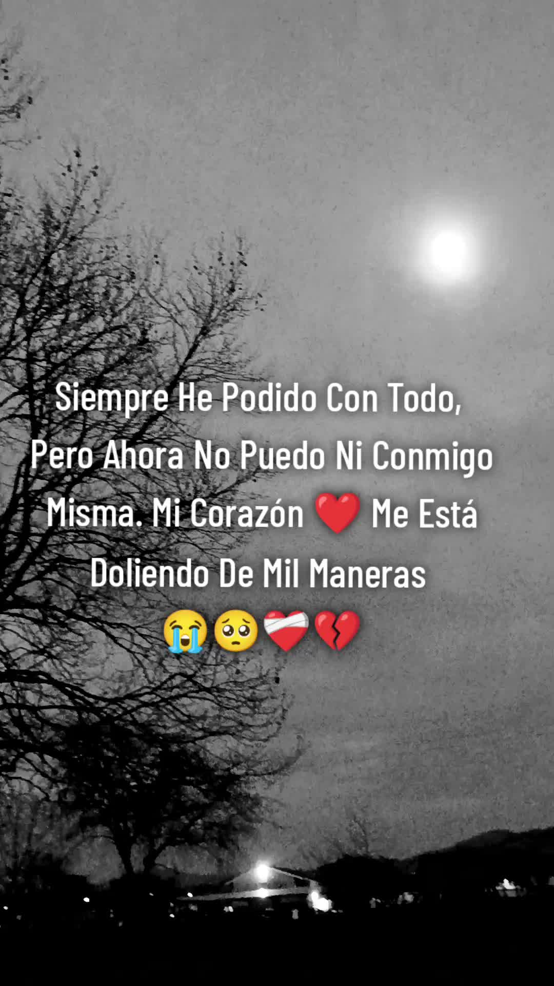 @✨💐ZuLeM@ G@RCiA💐✨
