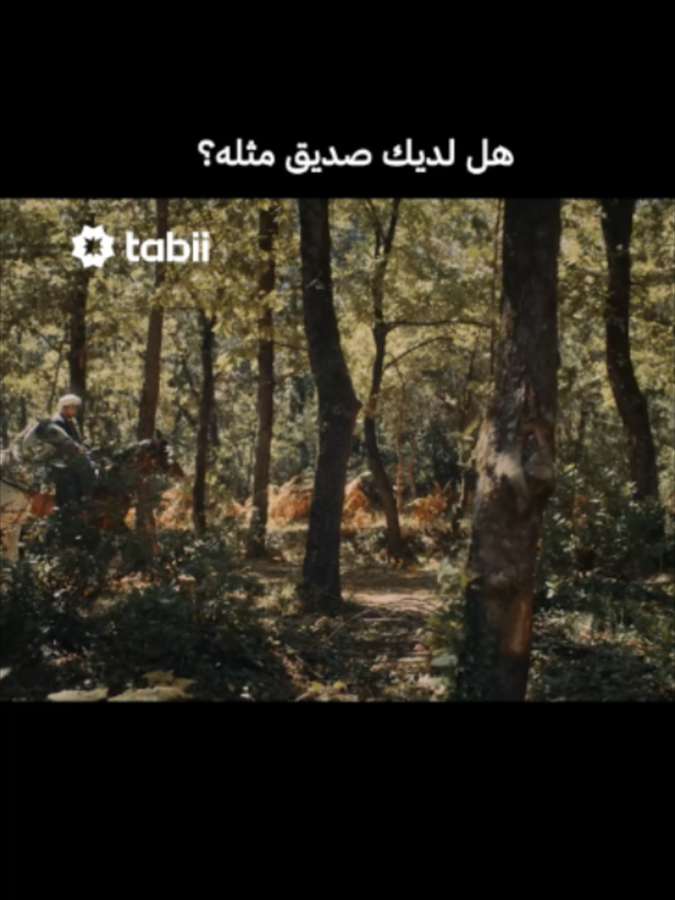 @tabii عربي