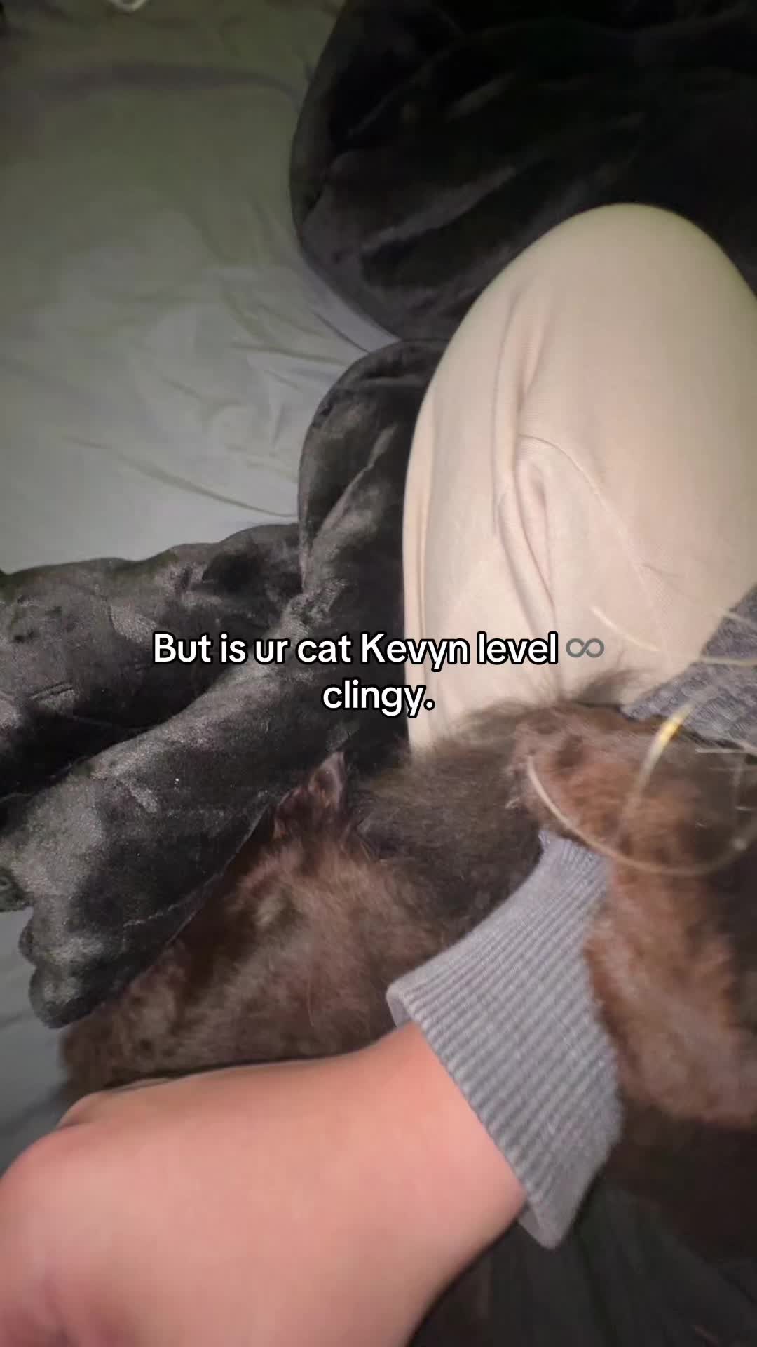 @🐈&zwj;⬛🖤