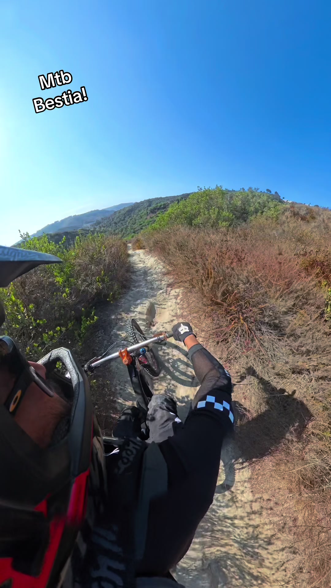 @Mtb BESTIA!