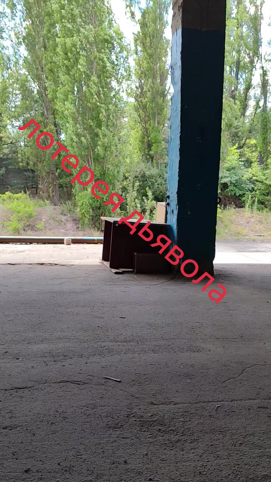 @_Krolik_444